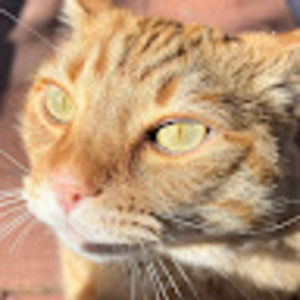 Meet your Posher, Jiana